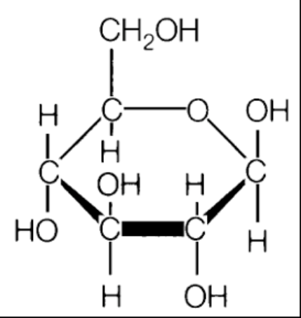 sugars and the polymers of sugars