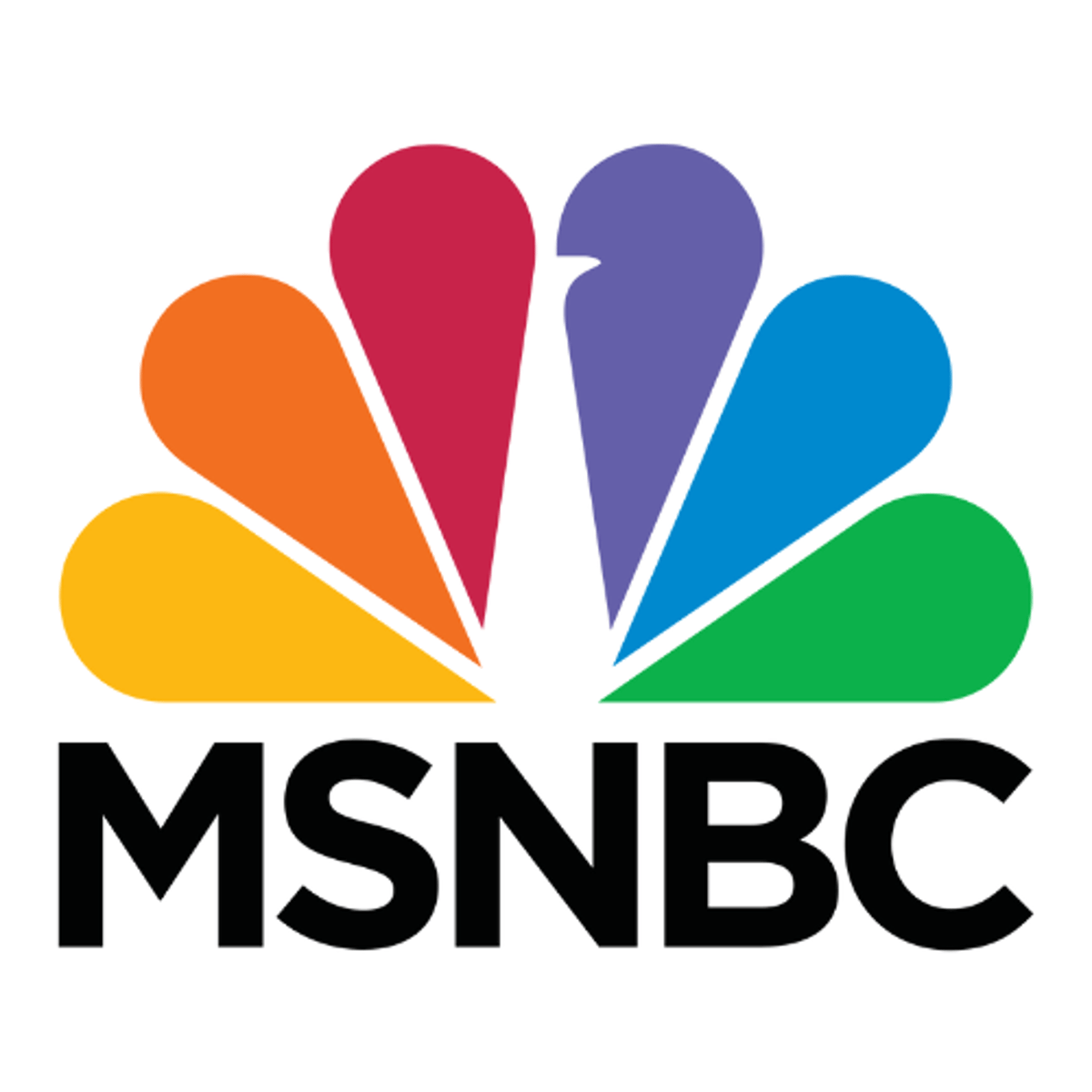 <p>- MSNBC (combination between microsoft and NBC)</p><p>- Disney+ (disney creating a new service with an existing brand name)</p>