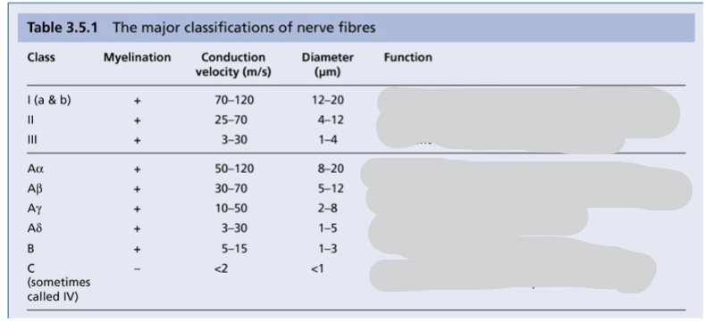 <p>Fill in the functions of each nerve fibre group</p>