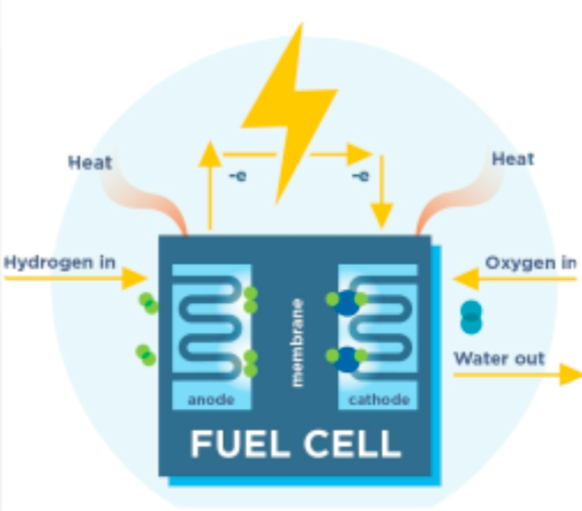 <ul><li><p>converts hydrogen, methanol, or ethanol and oxygen into water, carbon dioxide and heat.</p></li><li><p>cause <span style="color: blue"><strong>little pollution</strong></span> and are <span style="color: red"><strong>very efficient</strong></span></p></li><li><p>not rechargeable but need steady supply of fuel</p></li></ul><p></p>