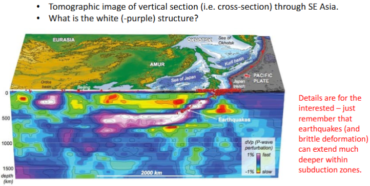 <ul><li><p>Spatial variation in seismic travel times (P waves velocity) provides details of Earth’s structure</p></li><li><p>Based on assumption that faster waves = cooler and/or more dense rock</p></li></ul><p></p>