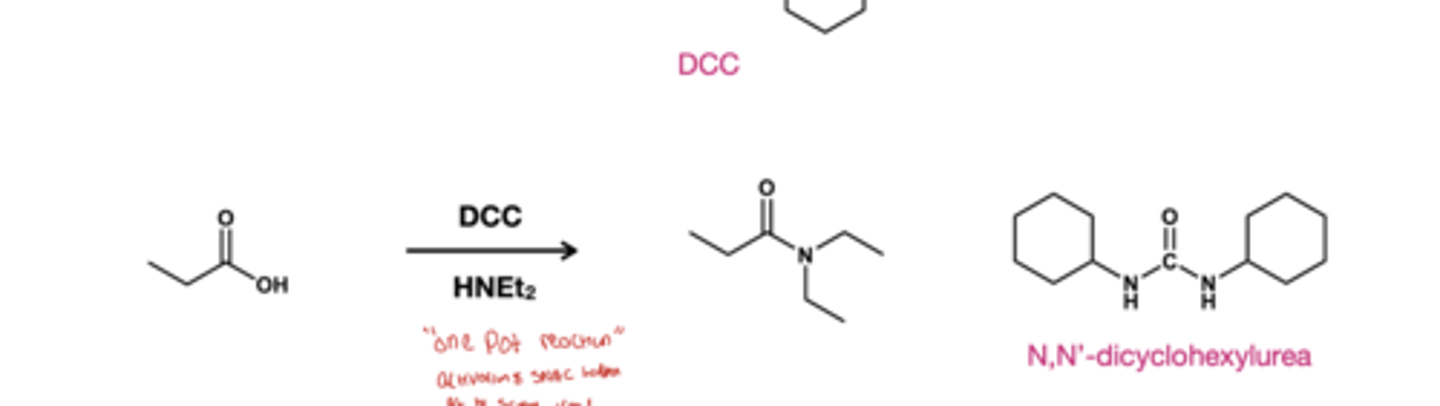 <p>DCC/ HNR2(HNEt2); using just the amine makes salt so we activate the carboxylic acid using DCC.</p>