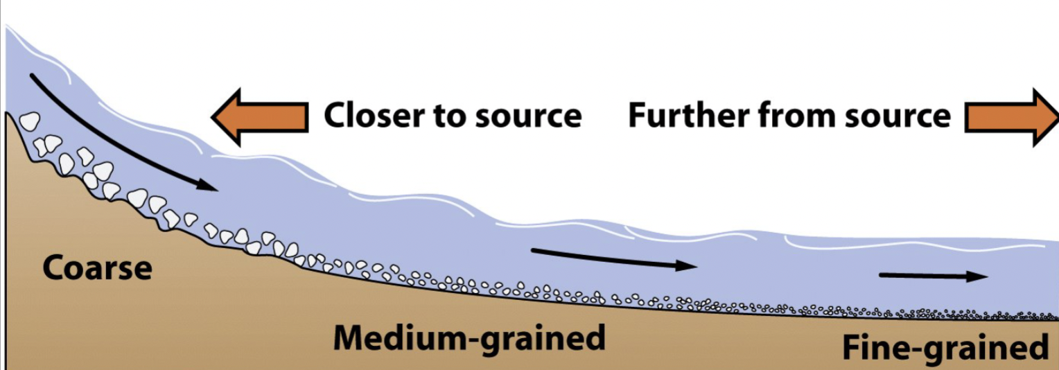 <p>During transport, grains bash against each other and become more rounded and break down</p><p>COARSE —> MEDIUM —> FINE</p>
