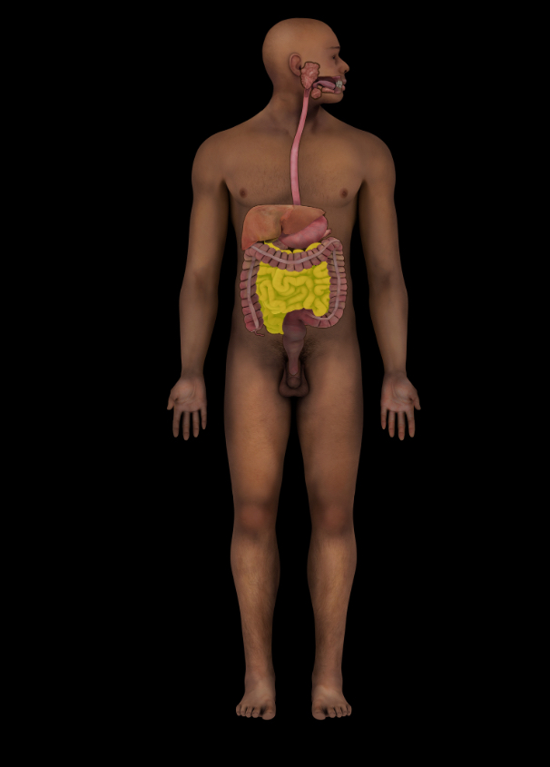 term image