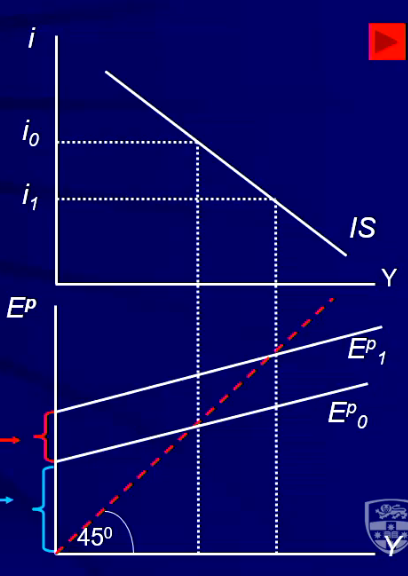 IS curve formation