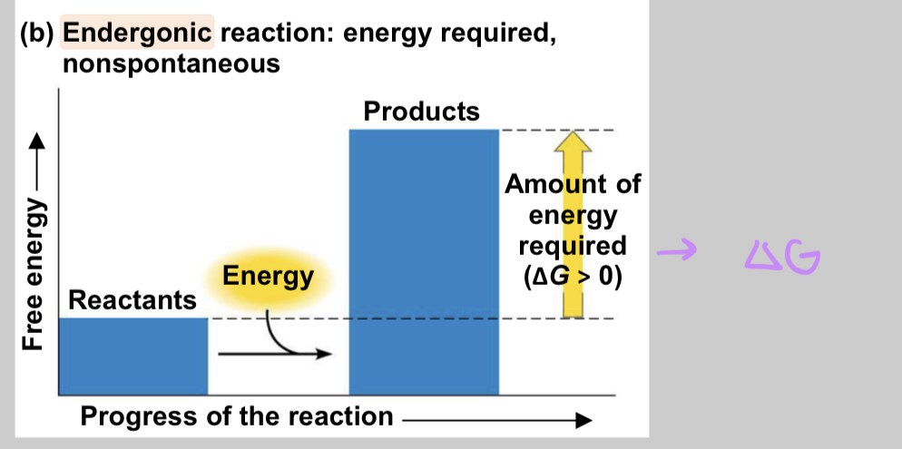 <p>energy is absorbed from surroundings</p>