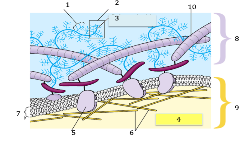 <p>1</p>