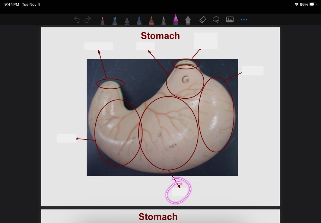 <p>What is this?</p>