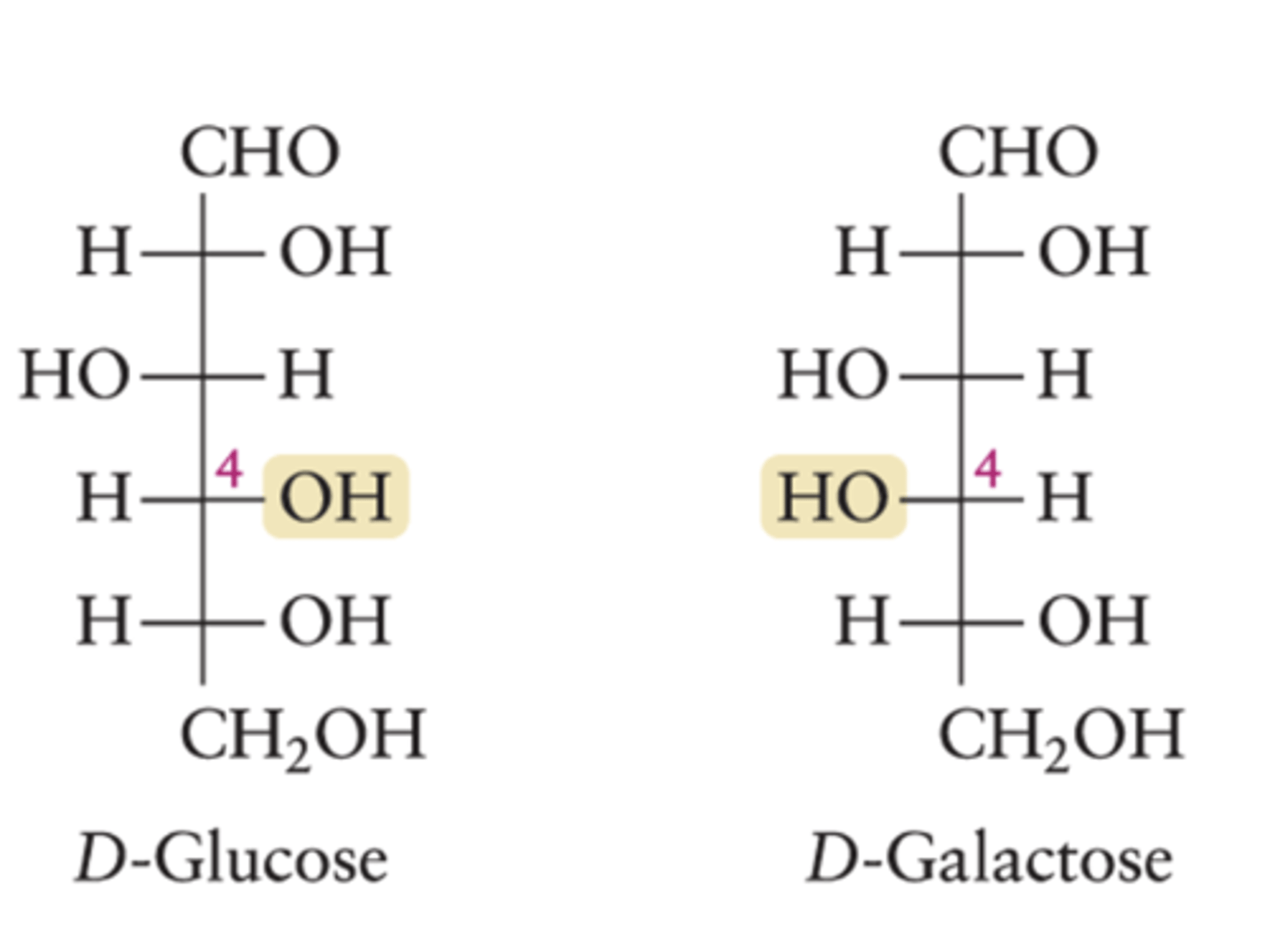 <p>They differ by the direction the OH points at one of their chiral centers.</p>