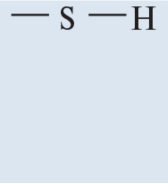 <p>Found in proteins</p>