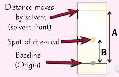 <ul><li><p>result of chromatography analysis is called chromatogram</p></li><li><p>R_f= distance travelled by substance (B) / distance travelled by solvent (A)</p></li><li><p>chromatography is often carried out to see if certain substance is present in a mixture. To do this, u run a pure sample of that substance (a reference) alongside the unknown mixture. If R_f values of reference &amp; one of spots in mixture match, the substance may be present (although u haven’t yet proved they’re same)</p></li><li><p>R_f value is dependant on solvent - if change solvent the R_f values for substance will change. Can test both mixture &amp; reference in no. if diff solvents. If R_f value of reference compound matches R_f value of one of spots in mixture in all the solvents then its likely the reference compound is present in mixture. If spots in mixture &amp; spot in reference only have same R_f value in some solvents then the reference compound isnt present in mixture</p></li></ul>