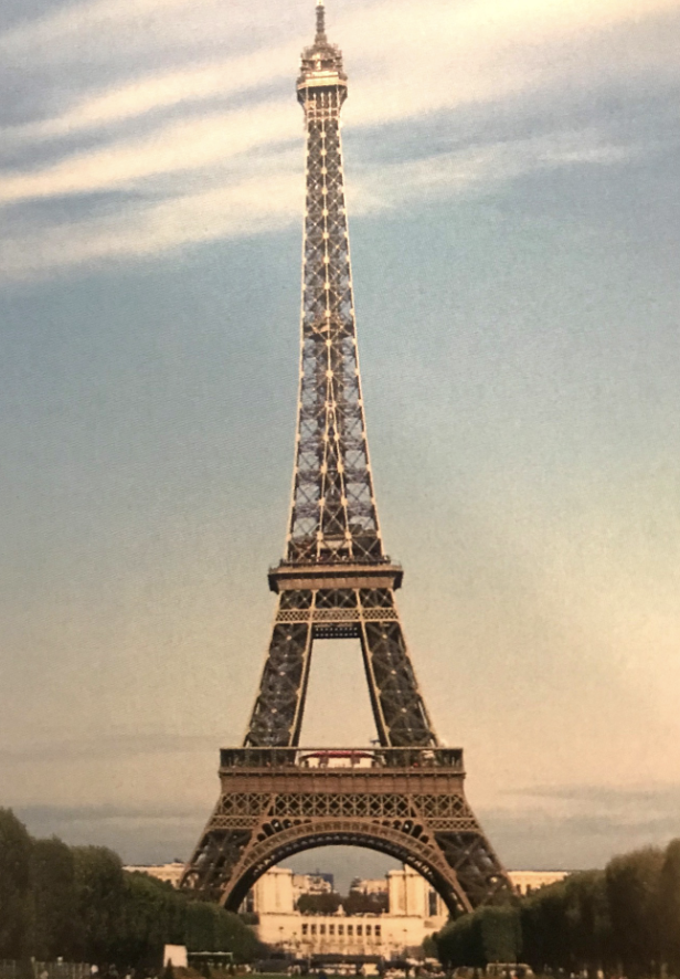 term image