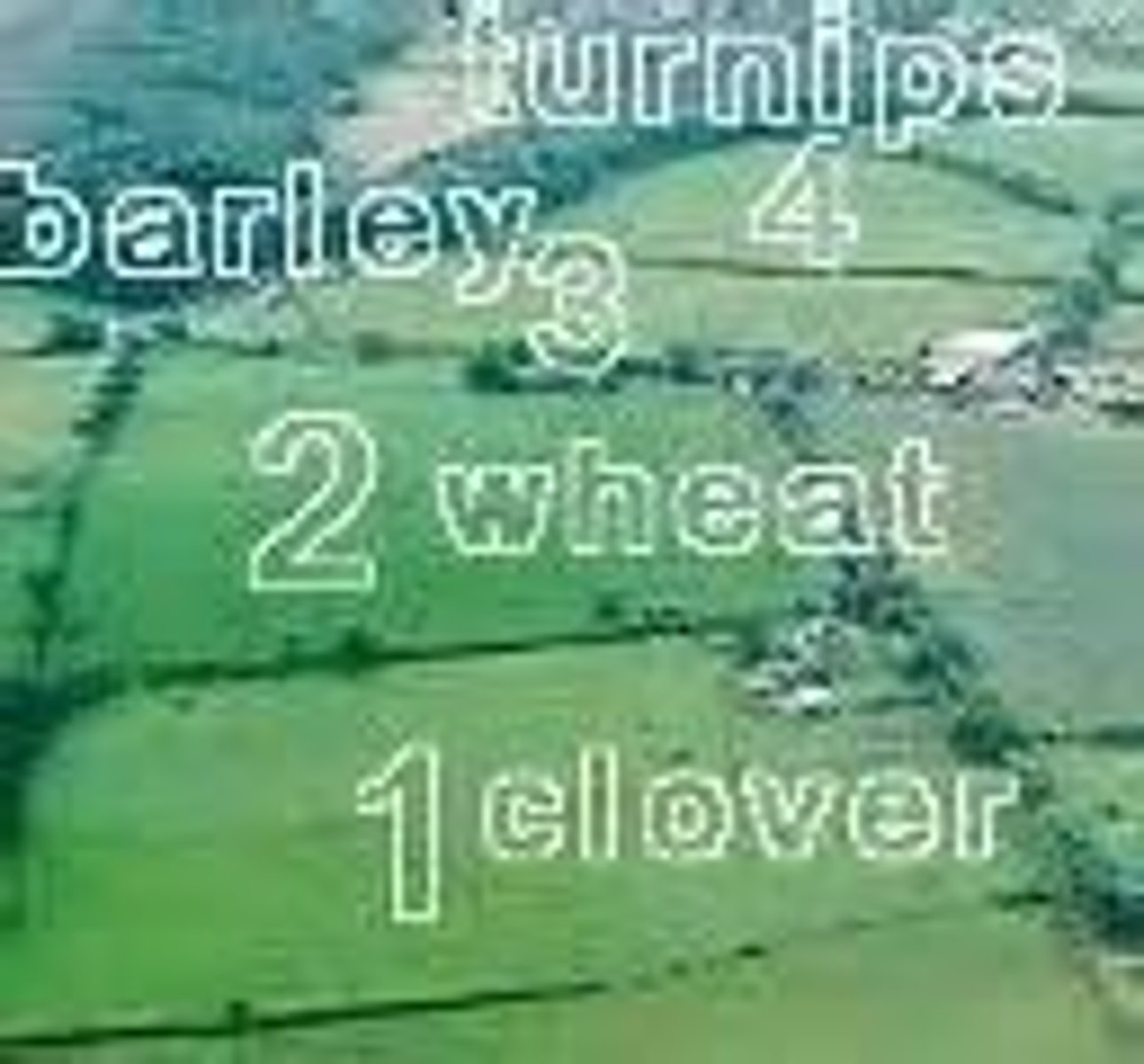 <p>A farming practice where fields are not left fallow but planted with new crops like turnips, clover, and alfalfa.</p>