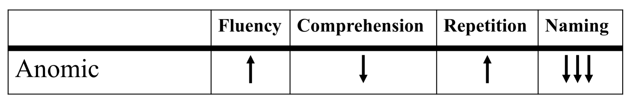 <p>• Fluent, substitute filler words for target words, semantic and occasionally phonemic paraphasic errors, <u>circumlocutions</u></p><p>• Mild comprehension issues</p><p></p><p><strong>• Lesion usually includes supramarginal and/or angular gyrus, or - ON TEST</strong></p><p>• Mild involvement of posterior superior temporal gyrus</p><p>• Wernicke’s aphasics typically recover to be anomic aphasics</p>