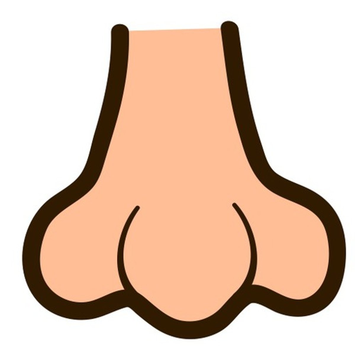 <p>bí zi （nose）</p>