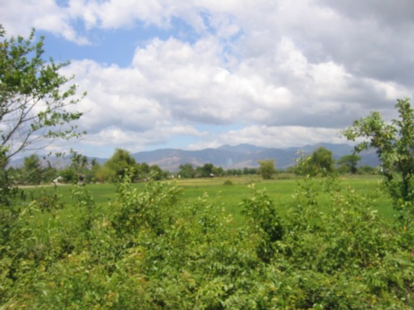 <p>The weather is good.</p>
