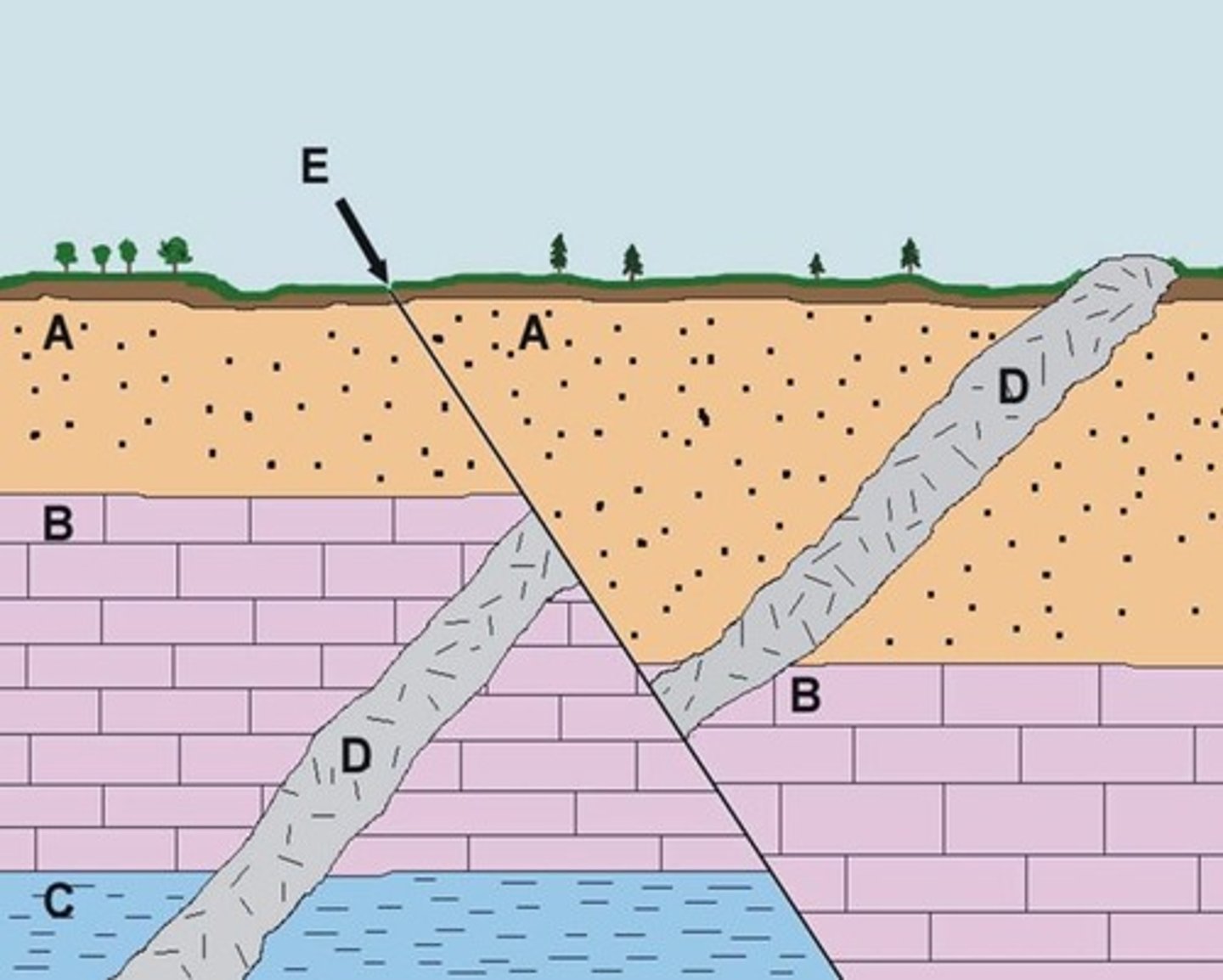<p>A fracture in the Earth's crust where blocks of rock have moved relative to each other.</p>