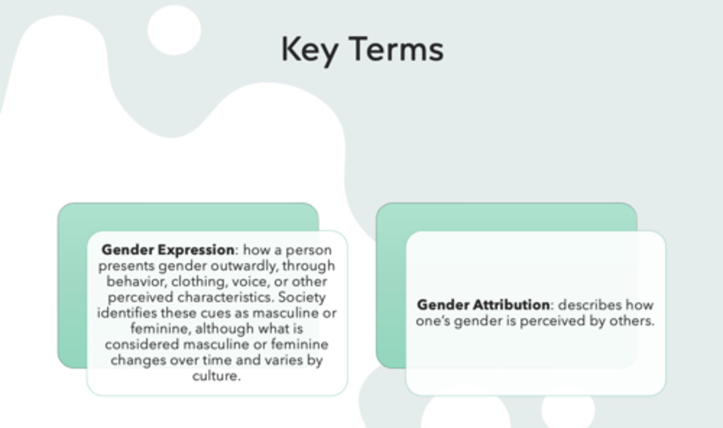 <p>Gender Expression</p>