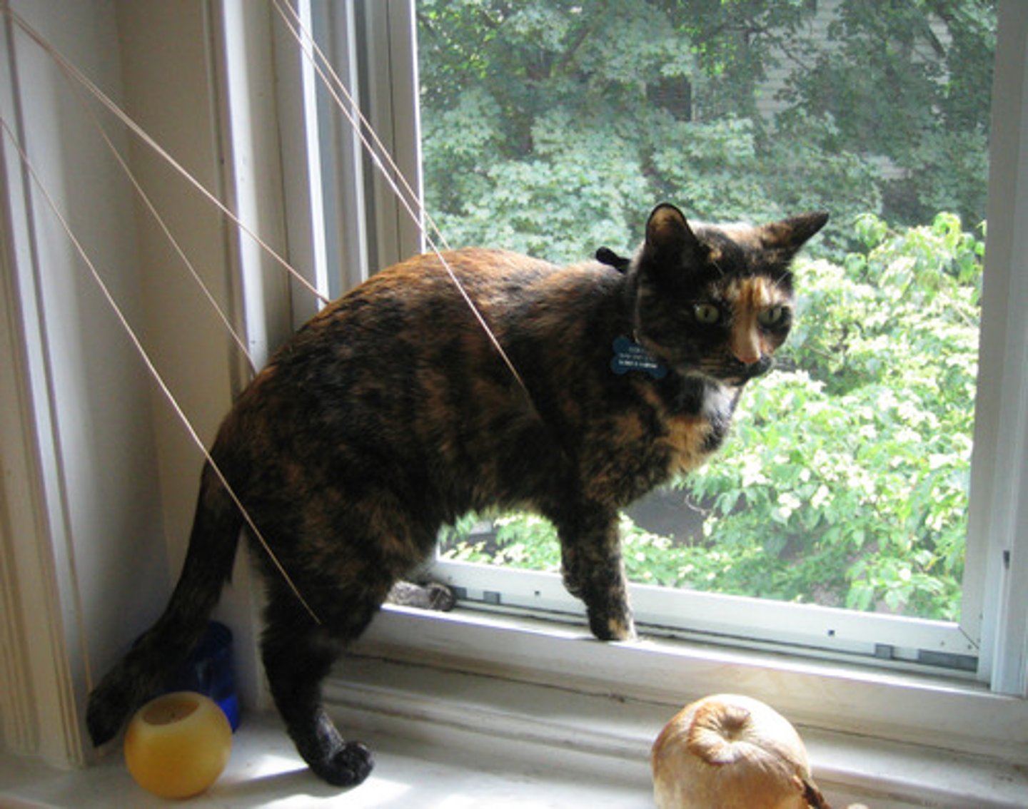 <p>a difficult, unpleasant, or embarrassing situation.</p>