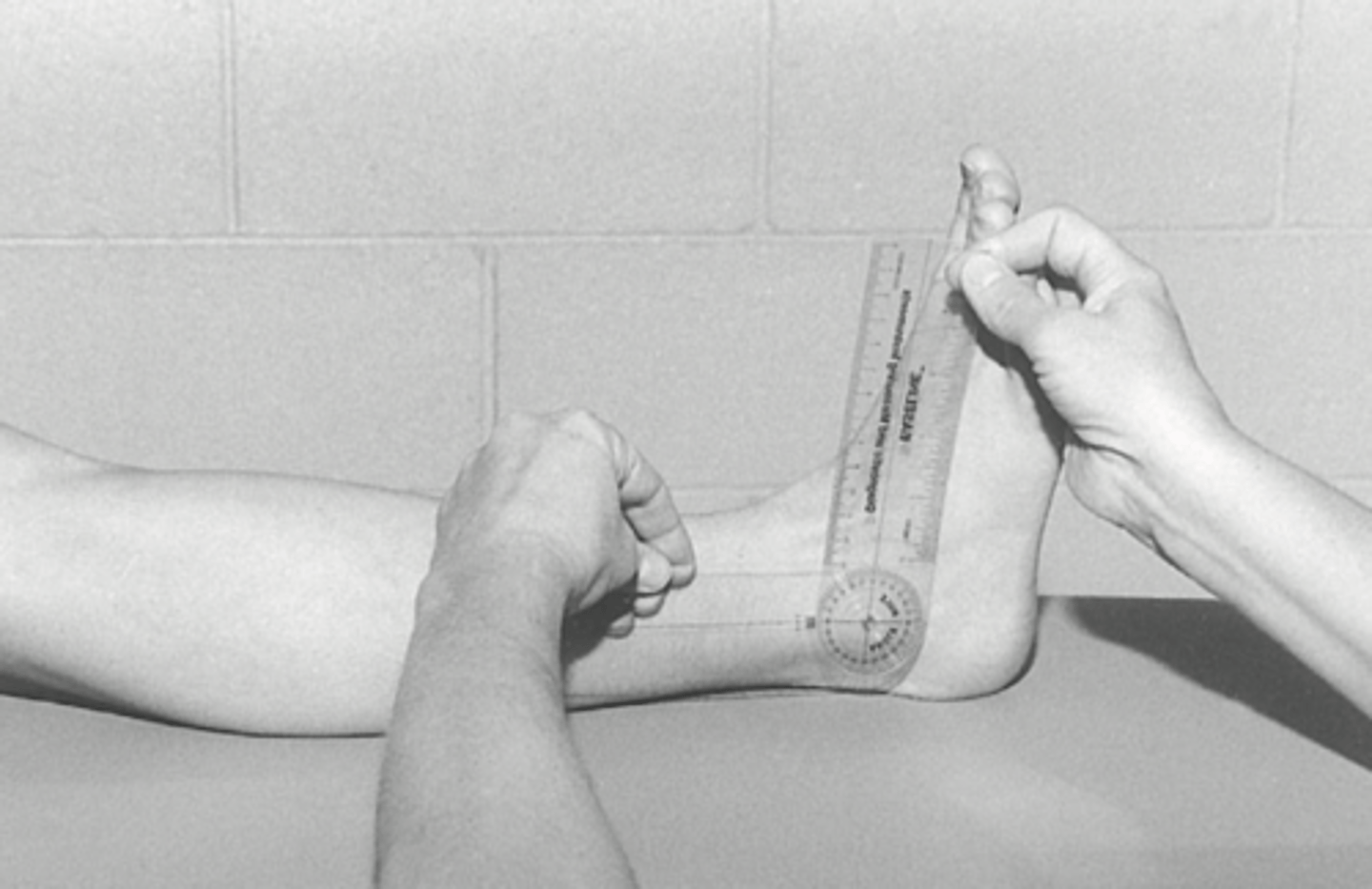 <p>Compare bilaterally</p>