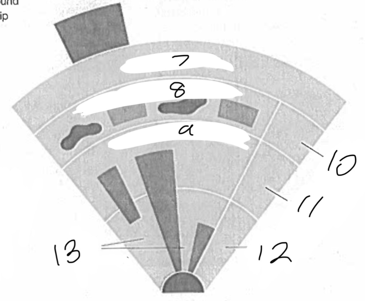 <p>Model Name</p>