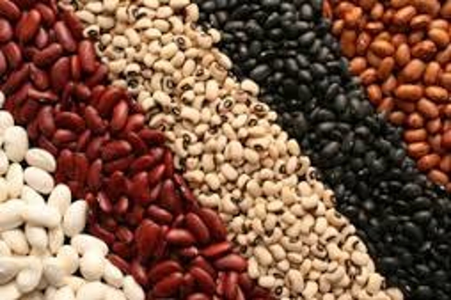 <p>beans</p>
