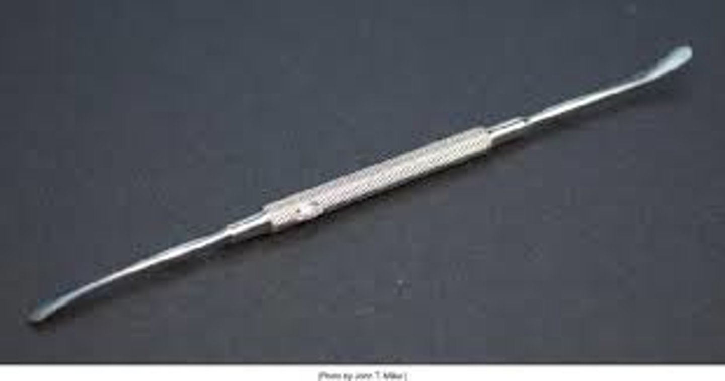 <p>Separate and lift periosteum from bone, Dense fibrous membrane covering bone, Expose bone for grafting and implants, Broad, flat blade, Curved or straight, Thicker and more robust than a periodontal elevator</p>