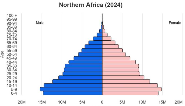 <p>Population pyramid </p>