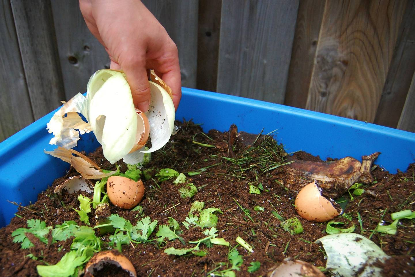 <p>compost (v) /ˈkɒmpɒst/</p>