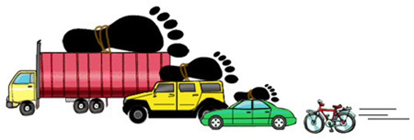 <p>a policy that sets a cost on carbon emissions to encourage reduction.</p>