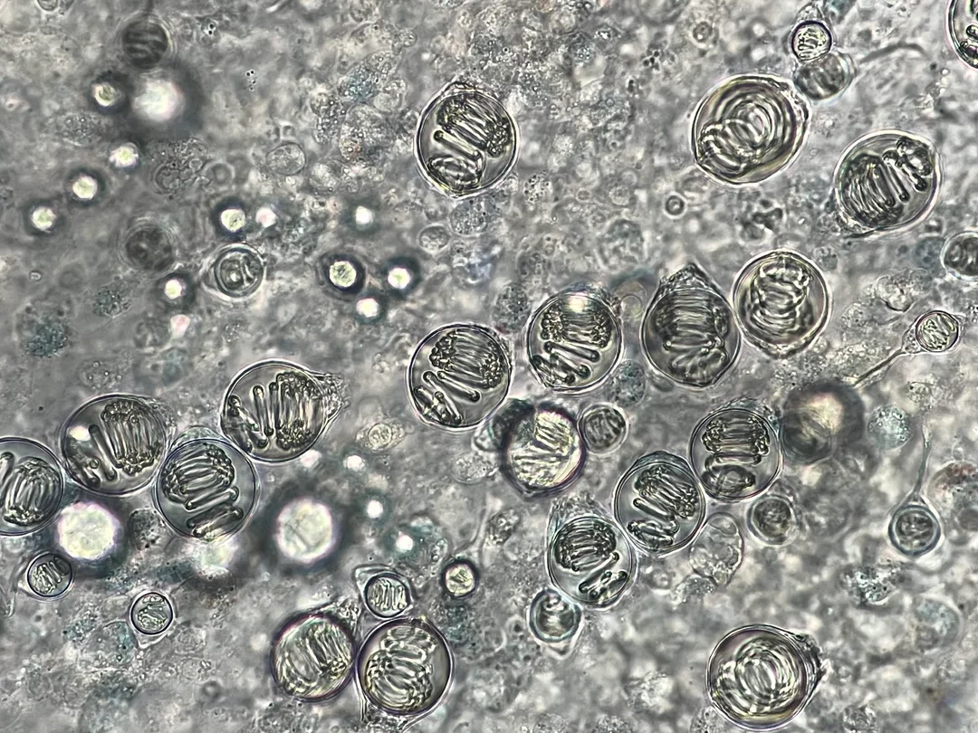 <p>What is this?</p>