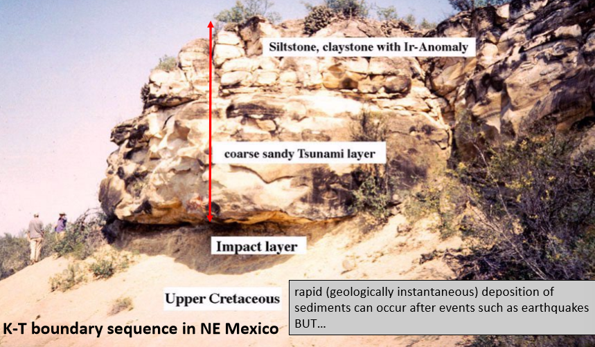 <p>Tsunami deposits</p>