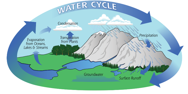 <p>path of water through the environment</p>