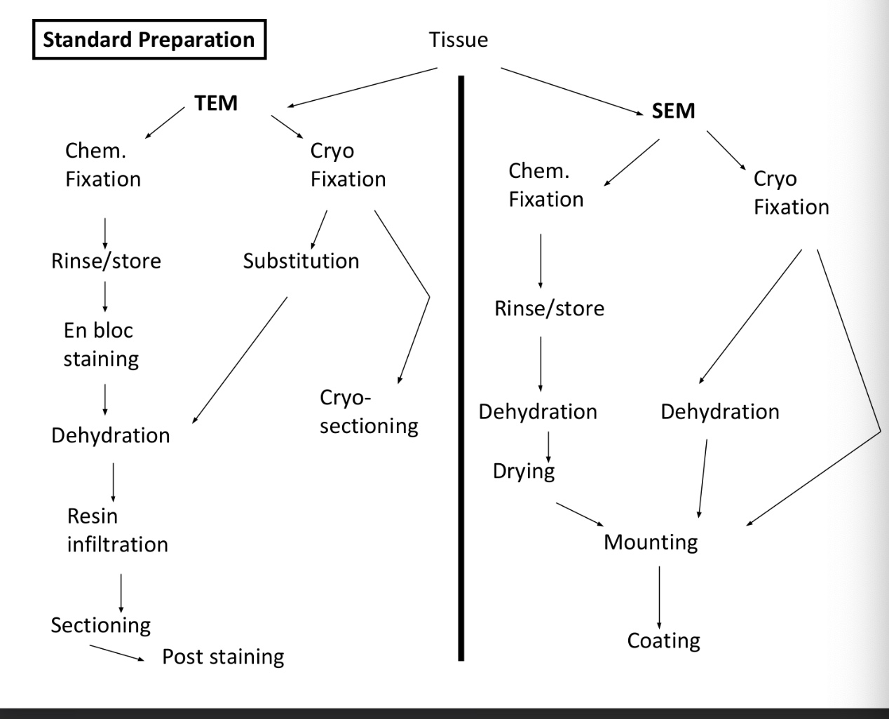 <p>Goals of TEM specimen preperation? </p>