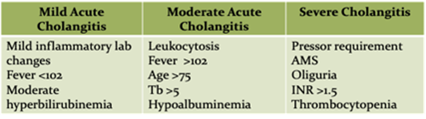 <p>Pressor requirement</p><p>AMS</p><p>Oliguria</p><p>INR >1.5</p><p>Thrombocytopenia</p>