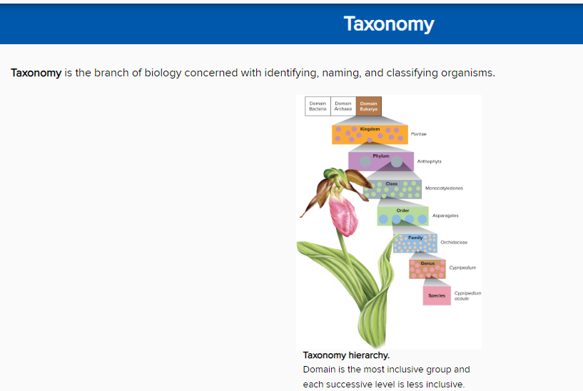 <p><span style="font-family: Archivo Black, sans-serif">Identifying and grouping organisms are the tasks of which discipline?</span></p>