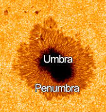 <p><strong>Umbra</strong> = central darker region, about 2000 K cooler than the photosphere.</p><p><strong>Penumbra</strong> = a lighter (less dark) surrounding area, with a temperature about 200 K cooler than the photosphere.</p>