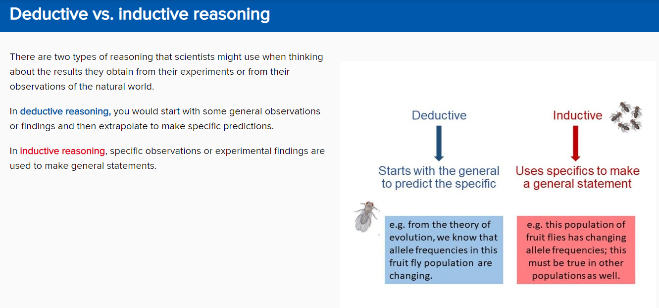 <p>inductive reasoning</p>