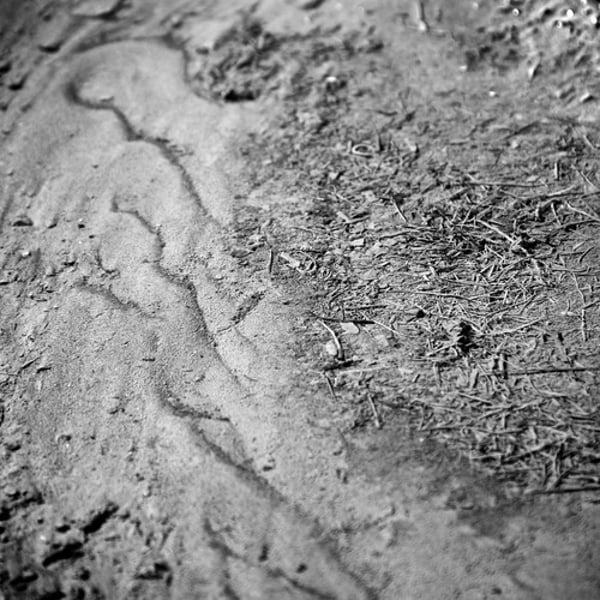 <p>One component of soil. Granular soil material of a size between sand and clay and composed mostly of broken grains of quartz. Usually has a floury feel when dry, and lacks plasticity when wet.</p>