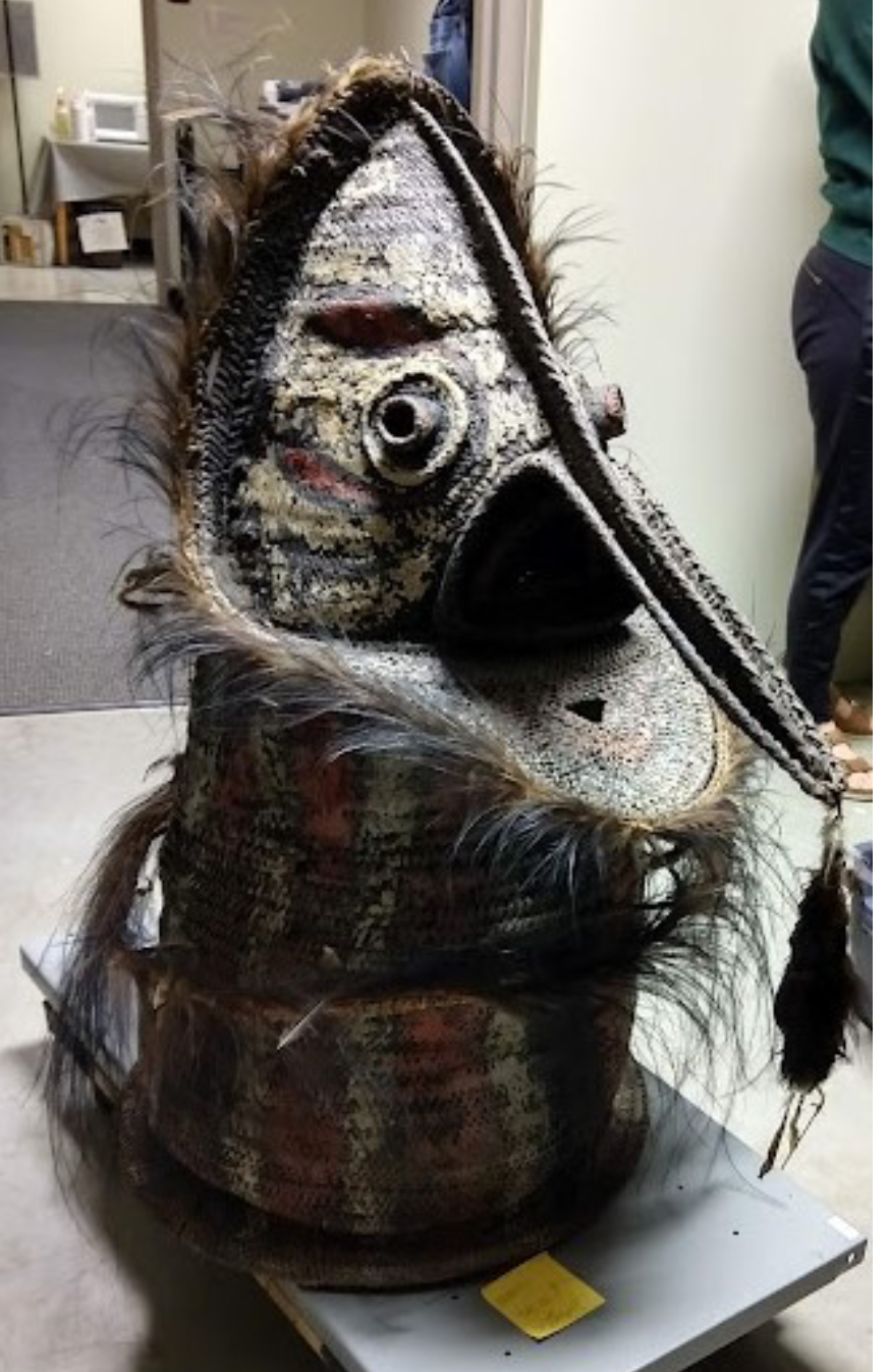 <p>Long nose indicates male spirit (phallus) an “ario”'; mask represents a water or wilderness spirit that lived in a hollow tree</p><p>Used during initiation masquerades</p><p>Basketry wickerwork over wooden frame, cassowary feathers, pigmented clay</p>