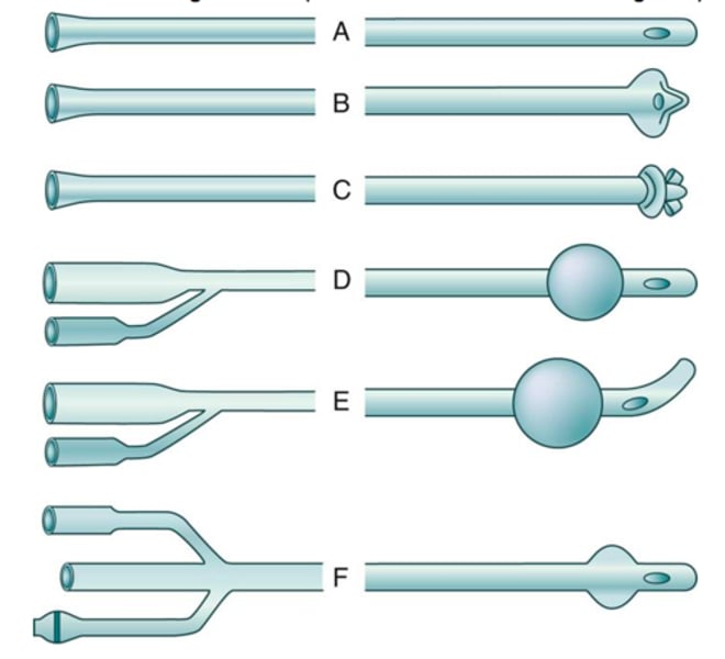 <p>- used to drain urine from the renal pelvis of the kidney <br>- inserted by physician</p>