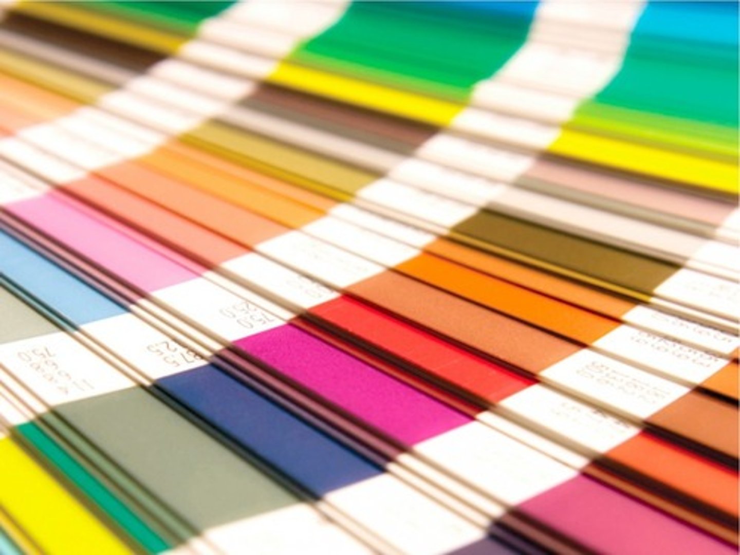 <p>một loạt đa dạng những thứ gì</p>