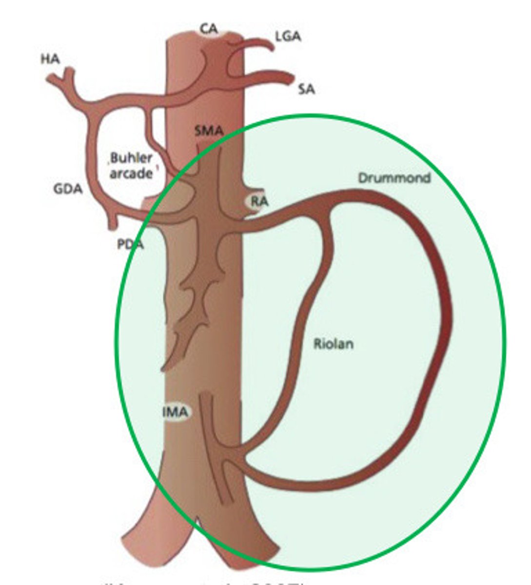 <p>What is the green circle indicating</p>