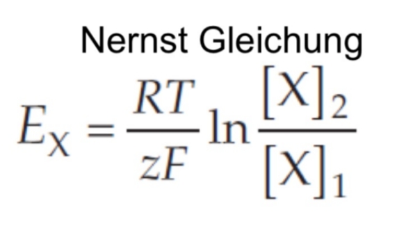 <p>Equazione per calcolare il Gleichgewichtspotential dei singoli ioni. </p>
