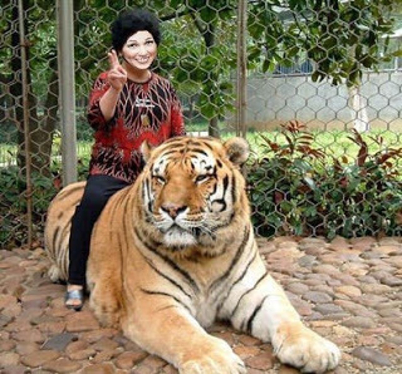 <p>/teɪm/ tính từ, động từ</p><p>thuần hóa, dễ bảo, nhu nhược</p><p>tame the animals</p><p>The lion was once wild, but now it is tame.</p><p>docile, calm</p><p>tameness, taming</p>