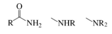 <ol><li><p>Carbonyl group</p></li><li><p>And the same carbon bonded to a nitrogen atom (the rest attached to nitrogen does not matter)</p></li></ol><p></p>