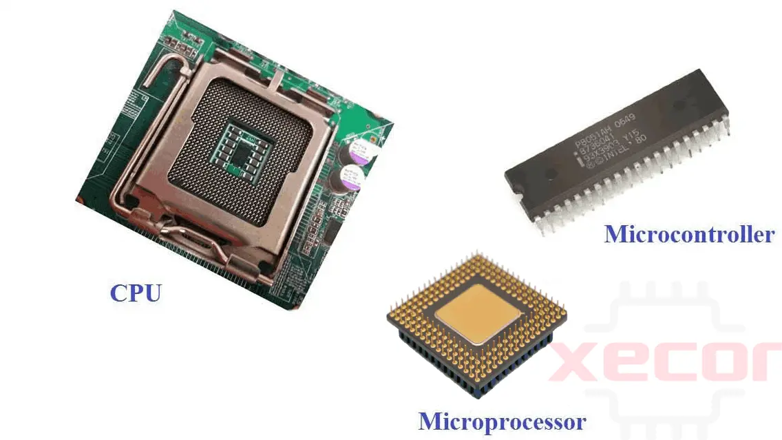 <p>The CPU is responsible for fetching, decoding, and executing machine instructions from RAM, and it stores the result in registers or memory.</p>
