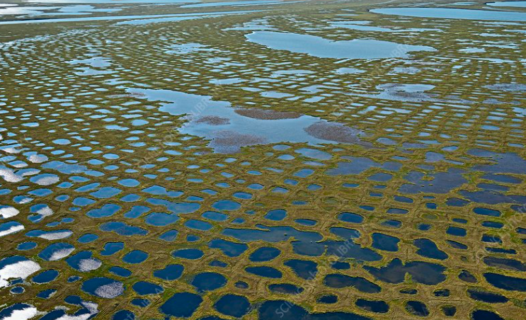 <p>patterned ground</p>