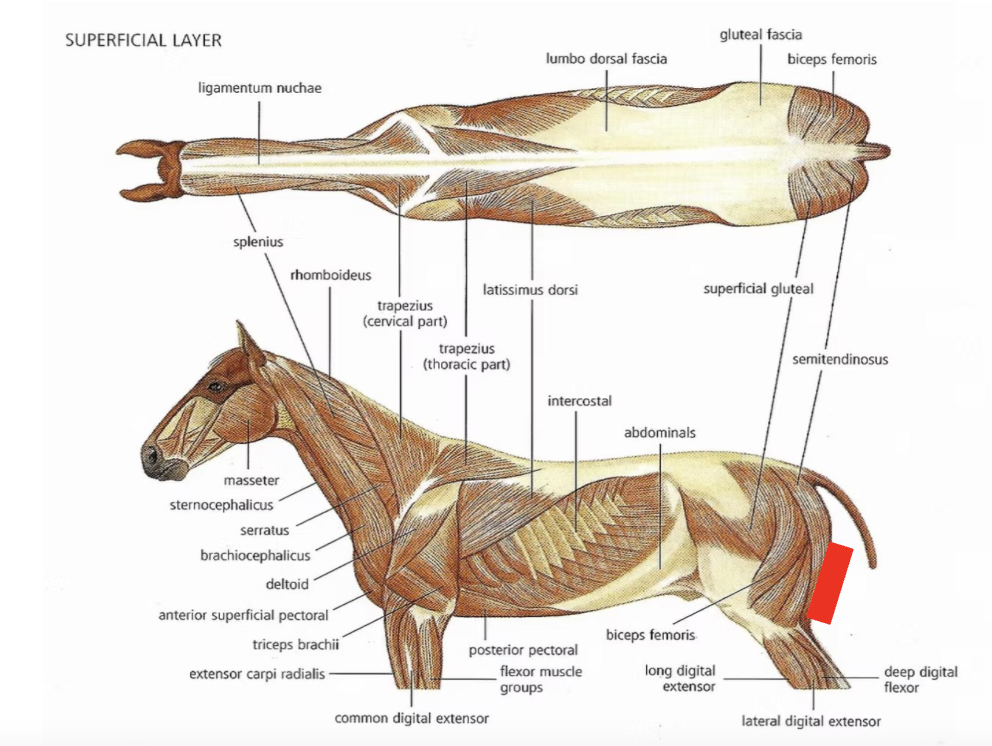 <p>What is this?</p>