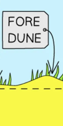 <ul><li><p>Foredune</p></li><li><p>Behind the embryo dunes as they build up&nbsp;</p></li><li><p>Marram grass begins to grow, stabilising the dune further</p></li><li><p>Species start to become more diverse and cover the ground</p></li></ul><p></p>